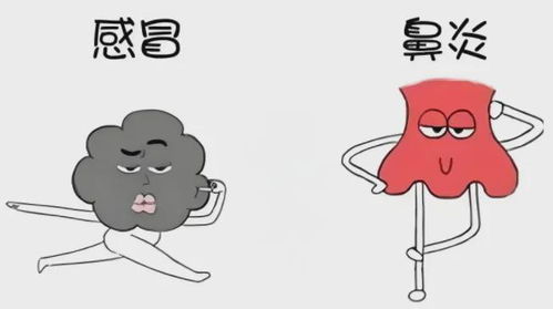 鼻炎患者必看这些治疗误区让你越治越糟