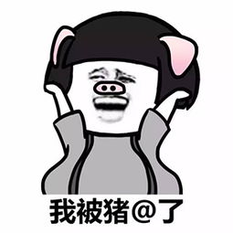 大半夜笑出猪声表情包艾特