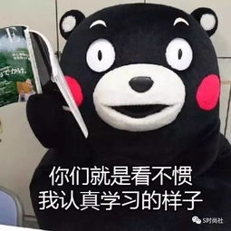 斗图,是美好生活的开始所以,表情包来一发