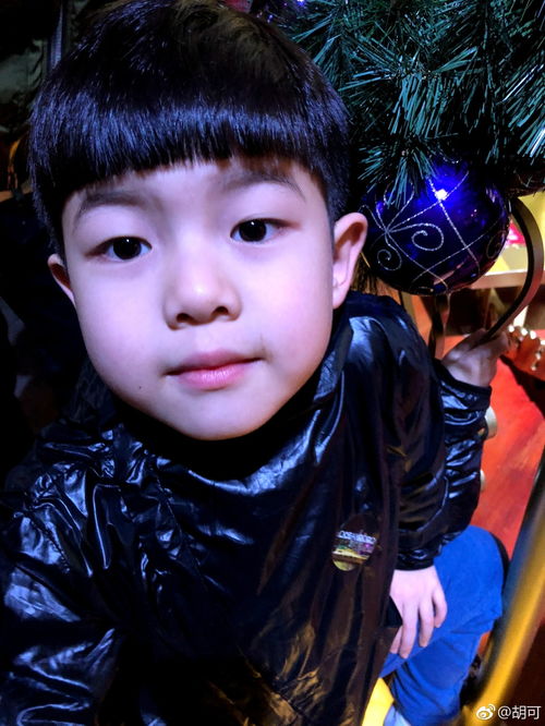 组图胡可带俩儿子坐游艇安吉帅气小鱼儿凹造型超搞笑