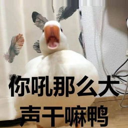 比小奶猫还萌表情包卖萌使出吃奶力气图5小祖宗都点赞