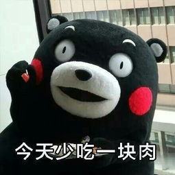 当你又瘦又好看表情包大全熊本熊高清无水印版图片分享
