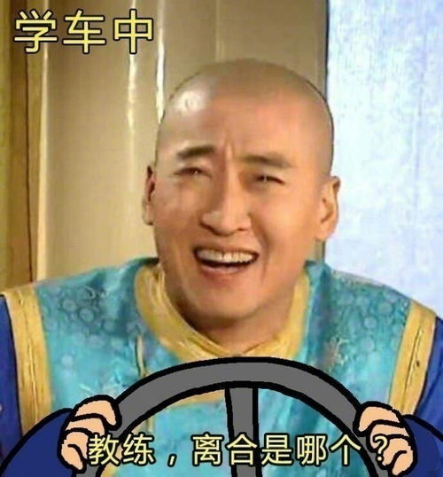 因为考驾照做过什么沙雕事儿哈哈哈,没救了