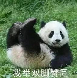 表情sir少儿不宜