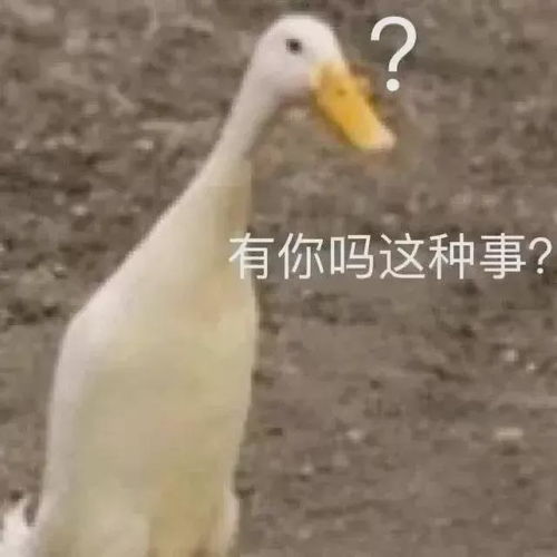 网友总结医学生看病现场,好家伙,这简直就是现场版期末考试吧
