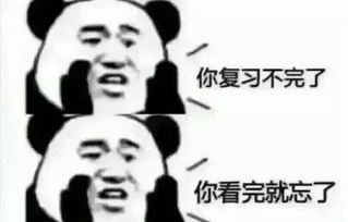 梦想摆渡人期末考来临,如何才能最高效地利用时间