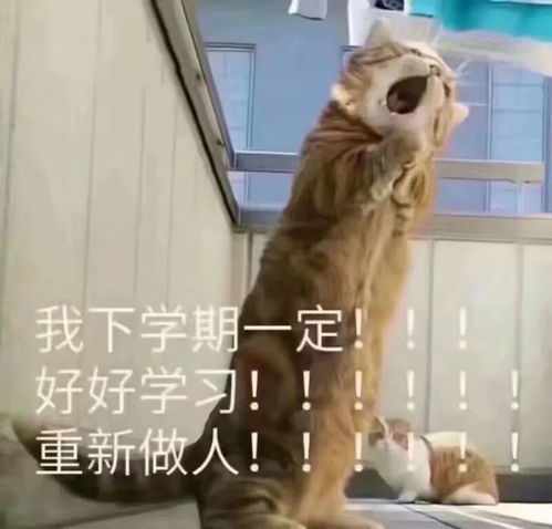 这是一篇你必看的期末复习法