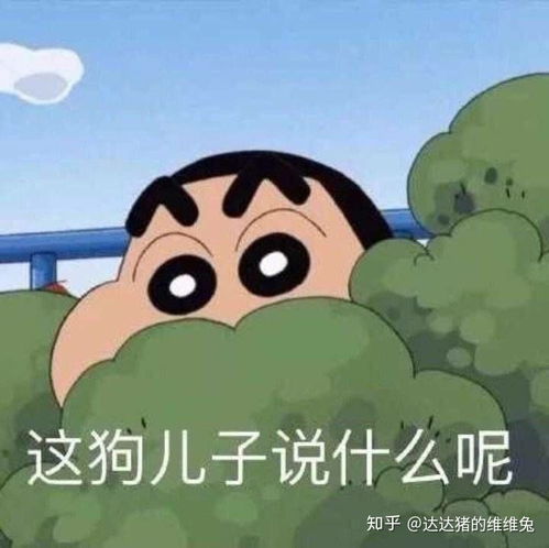 大学宿舍的关系真的有你想象中那么好吗