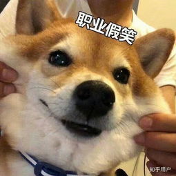 初中生物地理会考没考好会影响中考吗