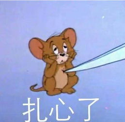搬宿舍这种事,此生一次就足够了