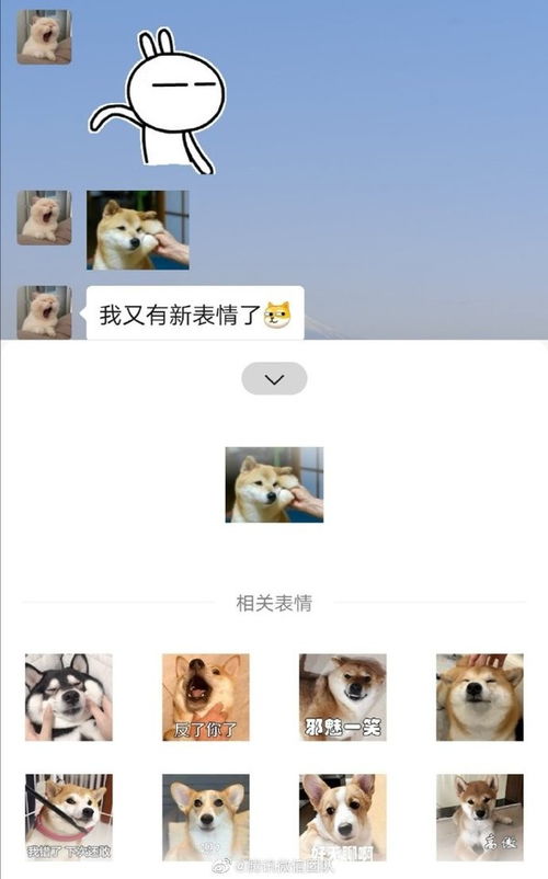 微信斗图如何屡战屡胜这份官方教学必须看只需一步
