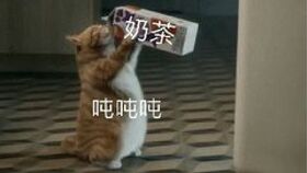 当你带着王重阳面具去找林朝英放置江湖中的彩蛋1