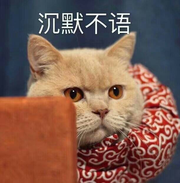 猫咪表情包多图