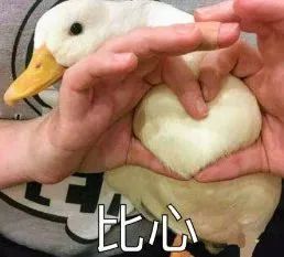 天气预报珠海明天才回暖,看了这条,今天就暖