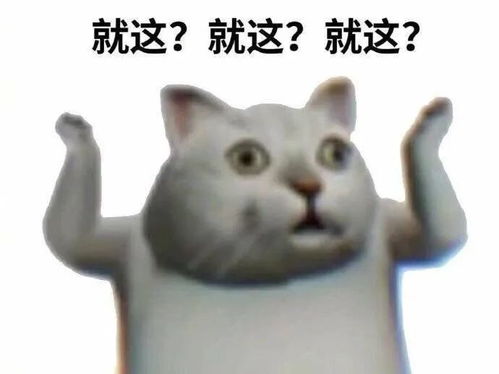仔细一想,快有仨月没见过室友了...