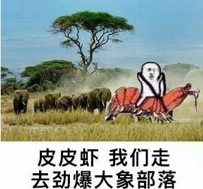 2017第二波表情包热力来袭皮皮虾象拔蚌,阿拉一道走