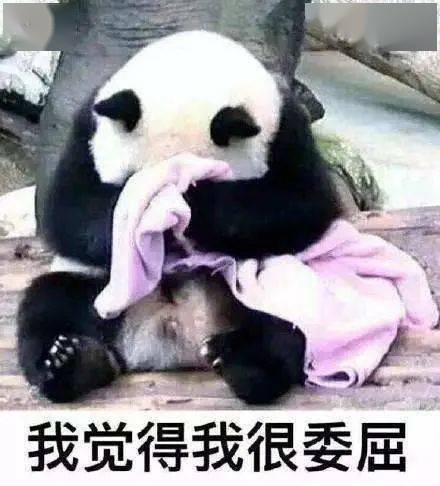 王晓梅六年级病入膏肓的英文书写,被我治好了