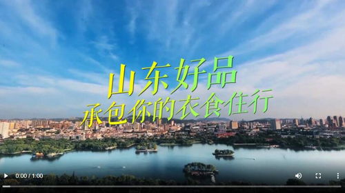 中国品牌日亮家底这些山东好品承包你的衣食住行