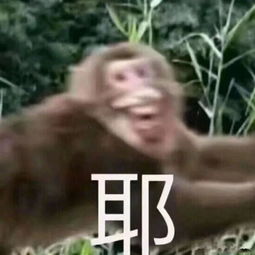 这可能是一个能够直击你灵魂的整蛊新技能哦