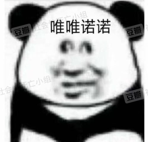 和我妈一起和对象视频时他口出狂言