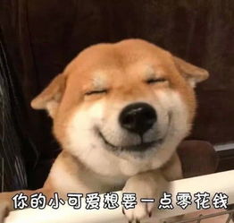 问爸妈要钱专用表情包你的小可爱想要一点零花钱