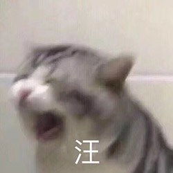 兔玩电竞lol新英雄可复制技能绚丽法师预告曝光