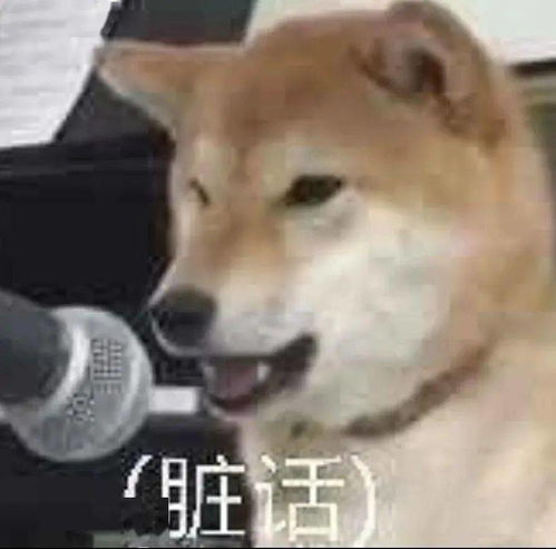 怒了宁波某业主早高峰堵大门,这种人咋办办第2天其他车主竟开始模仿