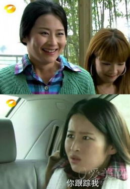 杨幂刘诗诗宋茜孙俪郑爽表情太囧神截图一秒毁女神图