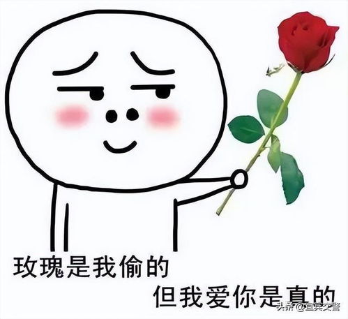 520,我想对你说......