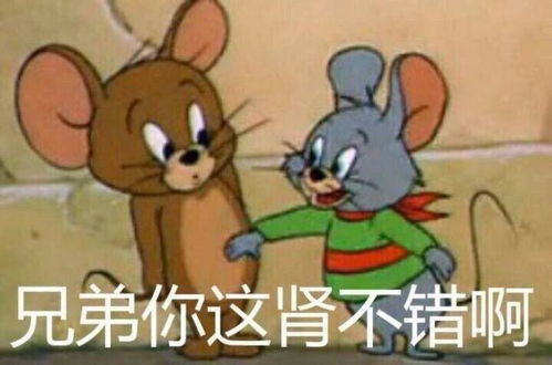 有什么好玩的猫和老鼠表情包