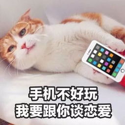 点赞重庆90后恋爱不看收入看感觉全国唯一零彩礼