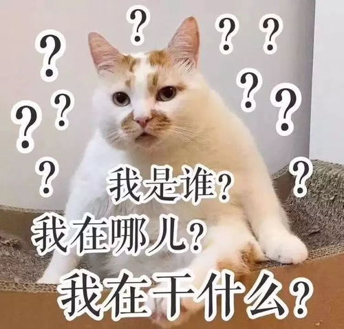 如何让闺蜜陪我单身一辈子表情包大话西游
