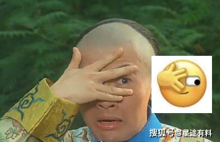 苏有朋神还原五阿哥表情包,还是当年那个表情,网友评论太扎心