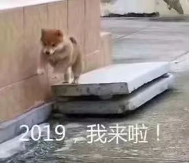 2019防逼婚神指南快给身边朋友看