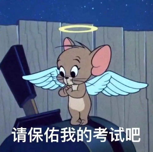 普大喜奔表情包学习