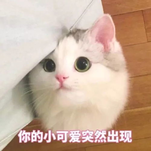 穿出高级感,这3点不能少