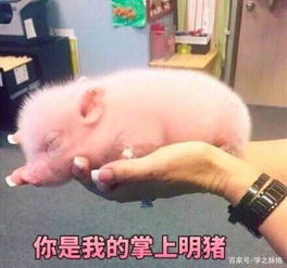 这年头,没点才艺都不敢当爹了
