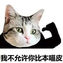 猫脸熊猫人表情包
