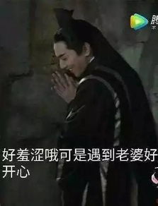 三生大结局已经开始想念姑父了没关系我们为你准备了夜华豪华表情包