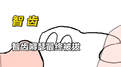 拉西的智齿非常嘚瑟,结果玩儿完了智齿