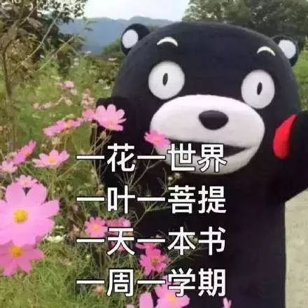 期末啊你这个小妖精,快放了我