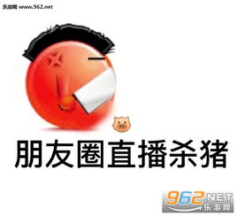 朋友圈进入防御模式朋友圈背景图片不许偷我的段子发给你喜欢的人表情包图片下载乐游网游戏下载