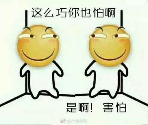 广州发布寒冷黄色预警今天将降至10或以下元旦天气预报也来了