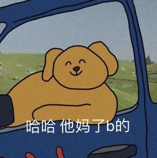表情包骂人专用