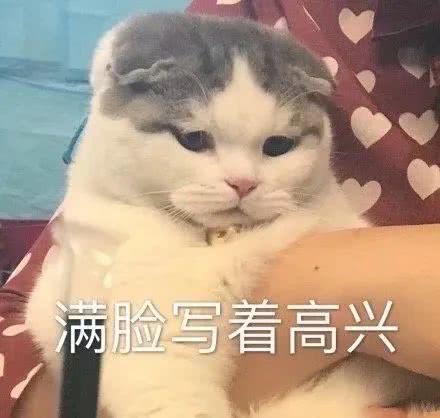 表情包你和月亮一样浪漫