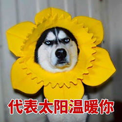 台湾惊现一栋佛景房碾压海景房惨遭网友恶搞