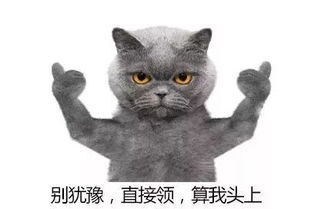 第二天红包雨来了今天别错过