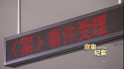 5岁儿子遭狗撵,女主人称孩子不跑,狗就不追孩儿爸一怒之下将其告上法庭