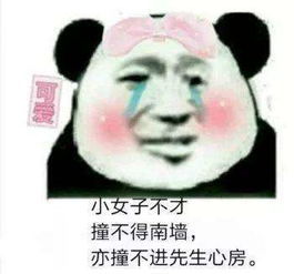 抖音小生不才小女子不才表情包高清无水印大全