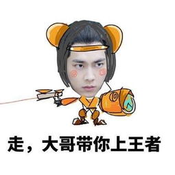 嗨起来视频表情包小新星